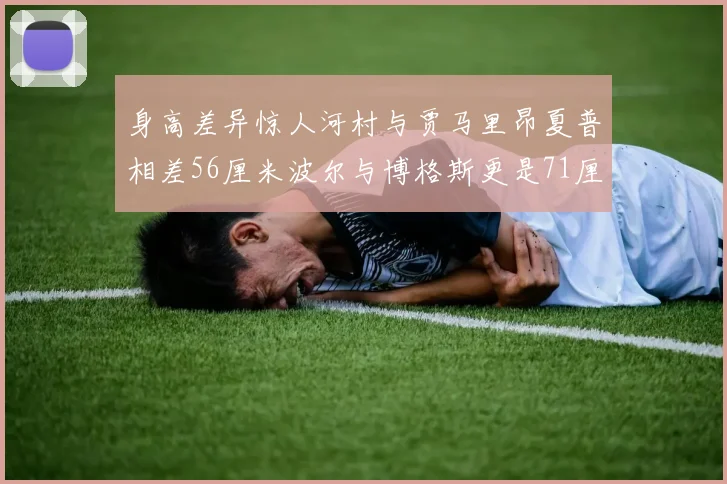 身高差异惊人河村与贾马里昂夏普相差56厘米波尔与博格斯更是71厘米